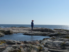 Hvor var nå strandnelikken?