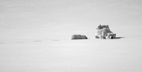 "We are Family" antatt i Nordic Championship of Photography 2022