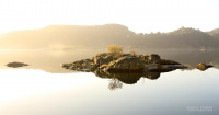 Terneholmen i morgenlys