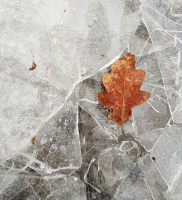 Frost-lag på lag