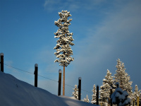 Vinter2019