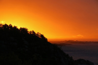 Morning has broken