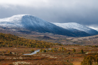 1. plass sep 2019 - Et lite stykke Dovrefjell
