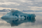 Antatt, natur - Sommermorgen på Svalbard1
