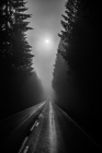 Fog road