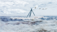 Antatt, Digital Kreativt - Fly on