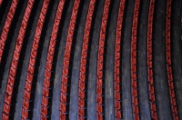 red rowses