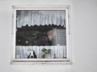 2. plass feb 2018 - A man and his dog