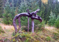 Antatt: Skogens konge