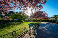 Antatt: Bergen blomstrer