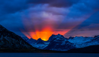 Gull - Lofoten flames