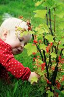 9. plass, 7000 poeng:<br />sommer idyll