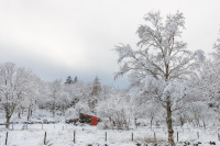 Vinter