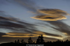 Solnedgang