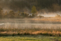 Frostmorgen i september
