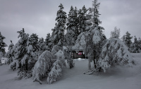 Hytta i vinterskogen