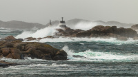 Hederlig omtale - Storm