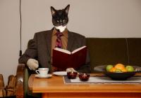 Pys leser Ibsen