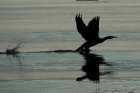Antatt: Take off ...