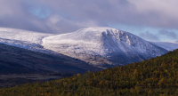 Vinter i anmarsj