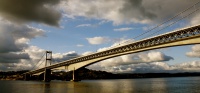 Hederlig omtale: "golden gate"