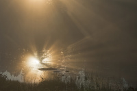 Hederlig omtale - Augustmorgen ved tjernet