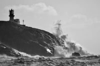 Stormens tunge