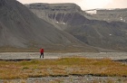 Antatt - Isbjørnvakt på Svalbard