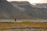 Antatt - Isbjørnvakt på Svalbard