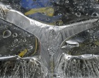 Hederlig omtale: Refleksjoner fra et aluminiumssøppel.