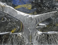 Hederlig omtale: Refleksjoner fra et aluminiumssøppel.