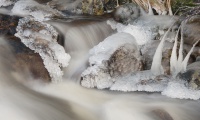 Antatt: Vinter i bekken