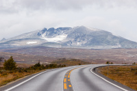 Over Dovrefjell - Antatt Urban natur/Kulturlandskap - vår 2022