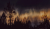 The lake