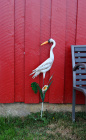 Fuglefotografering på Lista
