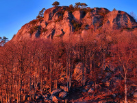 Kongefjellet i vintersol