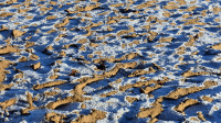 "Snøsanden"