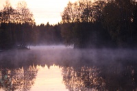 høst morgen