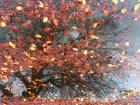 Antatt, kreativt - Their leaves never wither dets blad visner ikke