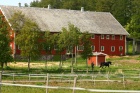 Baksiden av fjøset