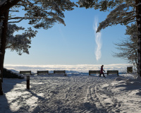 Winterly stroll