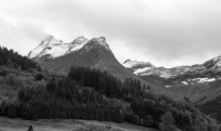 The hillside