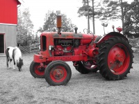 Antatt: Just keep red..