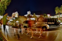 Hederlig omtale: Hot legs in Las Vegas