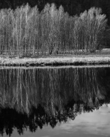 BW 5