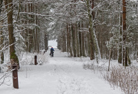 Sykkelbyen Mandal
