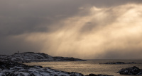 Når snøen faller ned