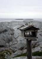 Hvautsikt på grip