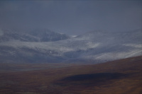 Drømmen om Dovrefjell