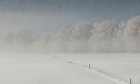 Antatt: Stillhet